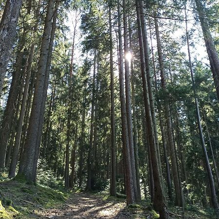 Ferienwohnung Brentenholz St. Georgen im Schwarzwald Exterior foto