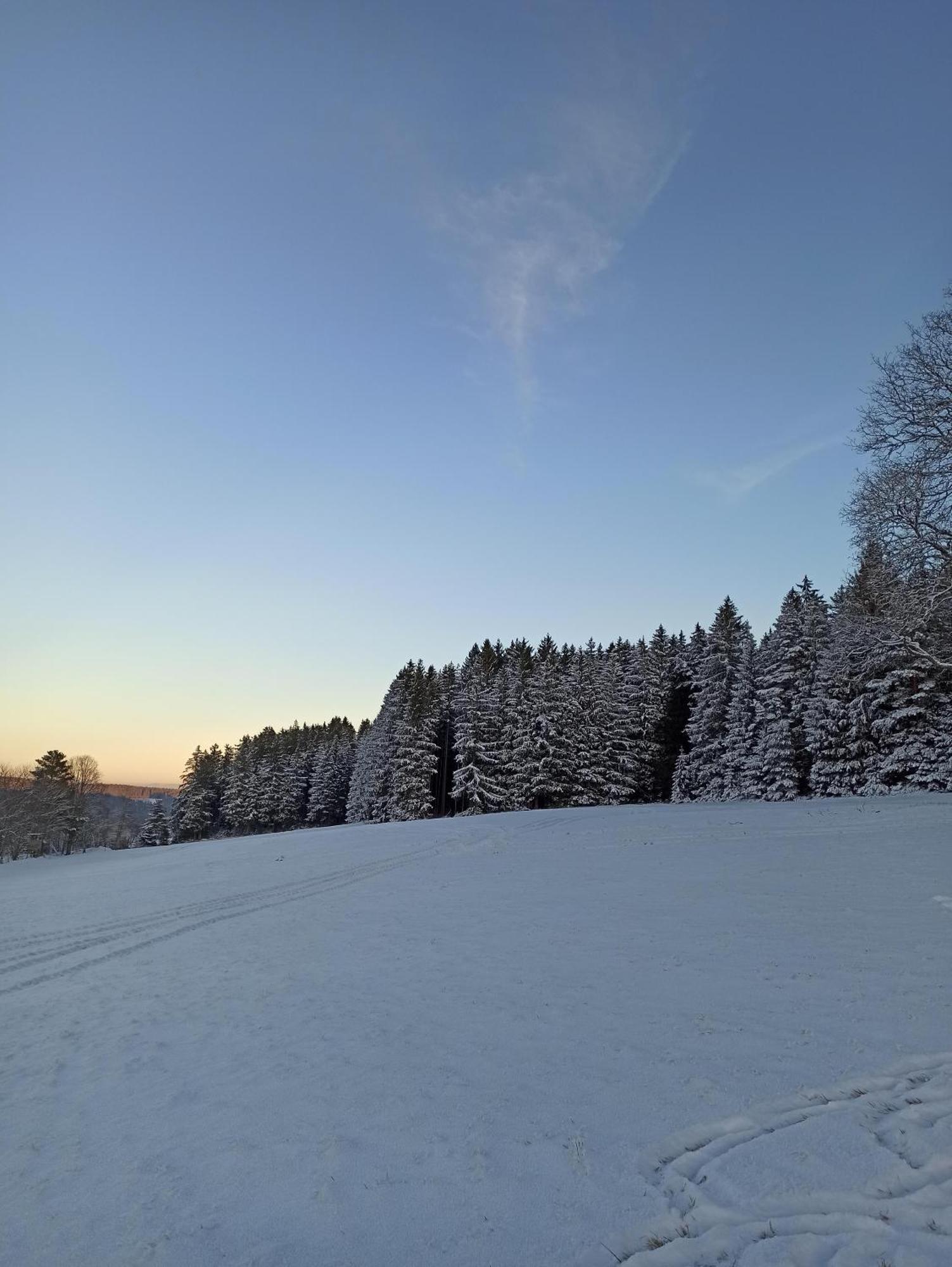 Ferienwohnung Brentenholz St. Georgen im Schwarzwald Exterior foto