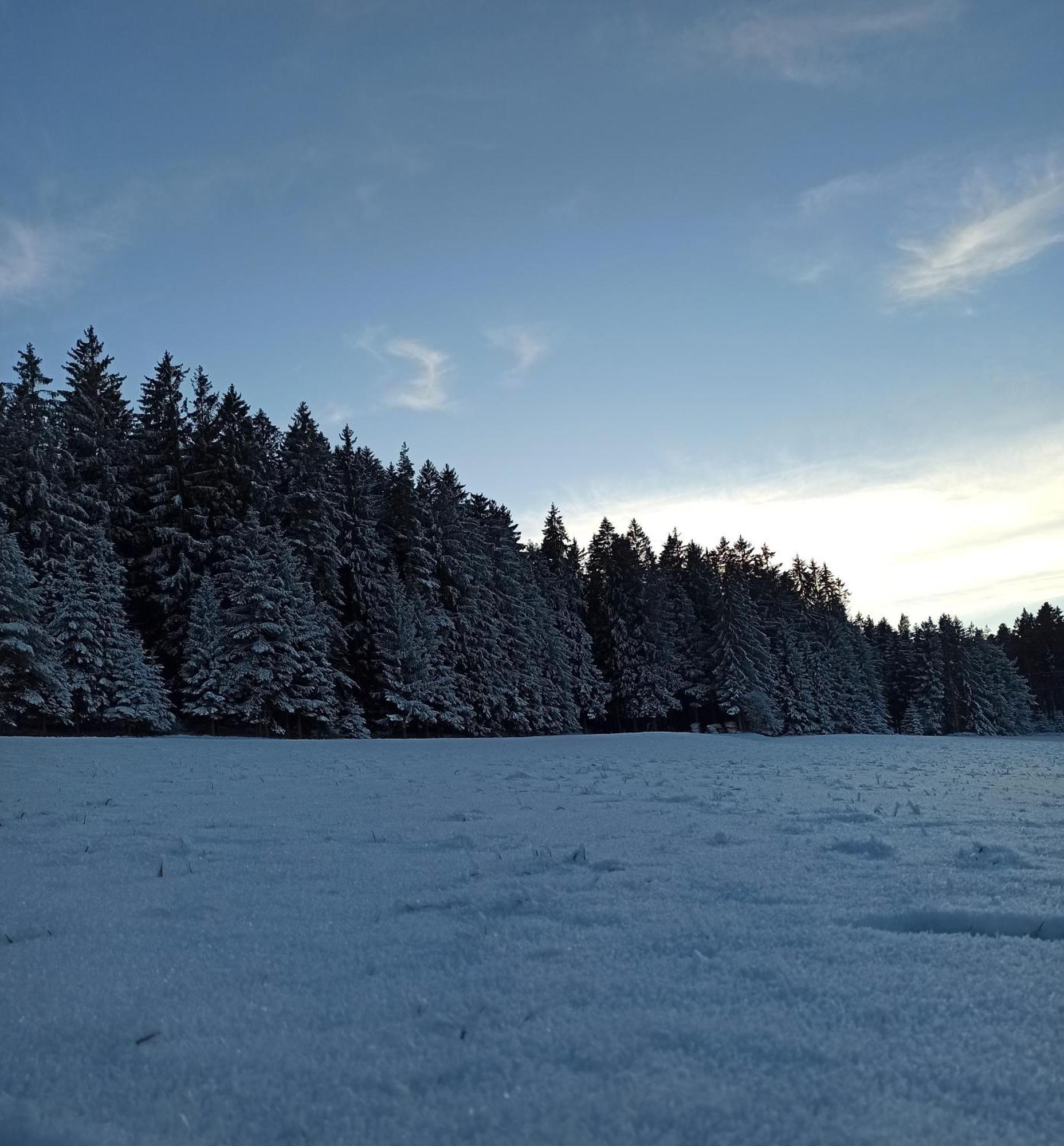 Ferienwohnung Brentenholz St. Georgen im Schwarzwald Exterior foto