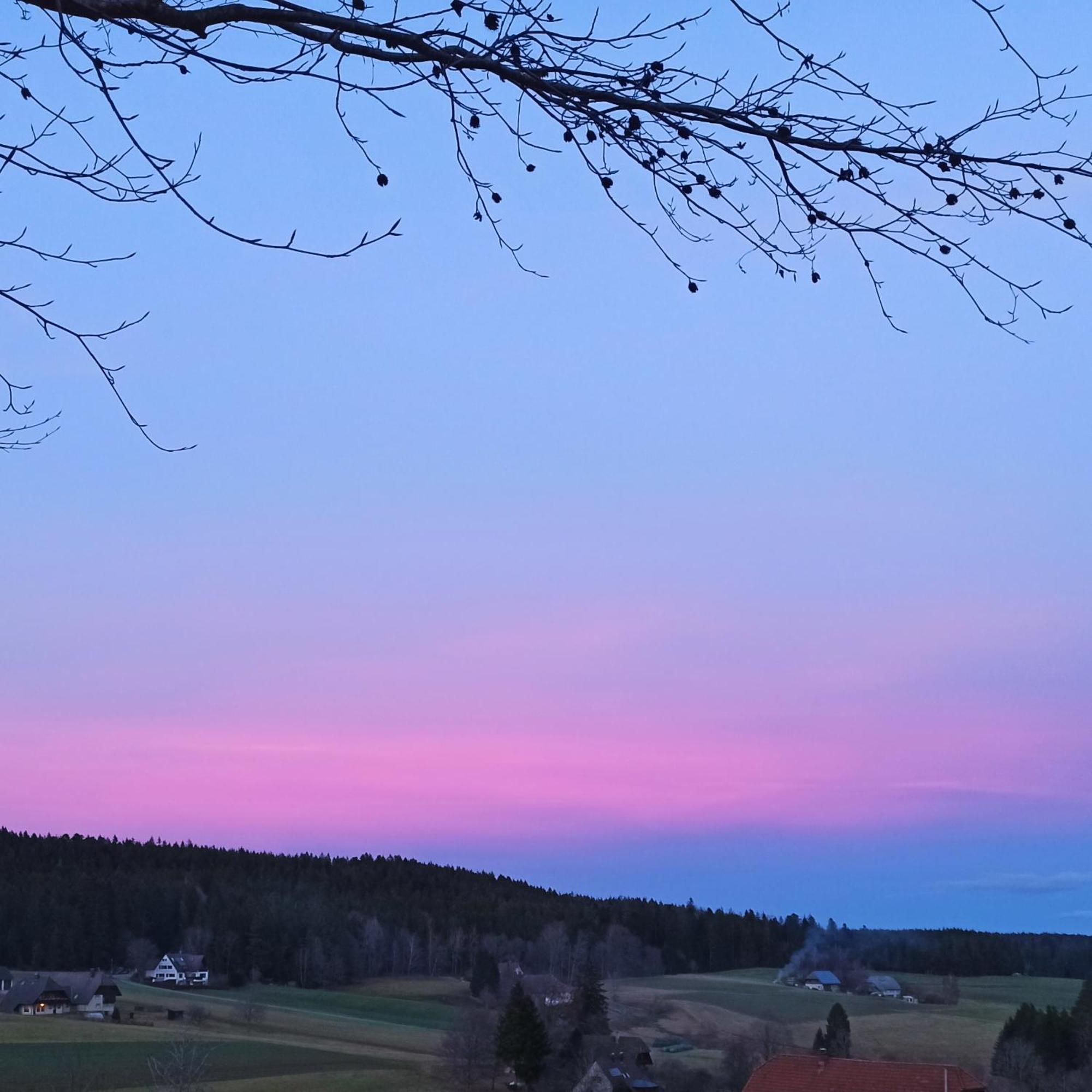 Ferienwohnung Brentenholz St. Georgen im Schwarzwald Exterior foto